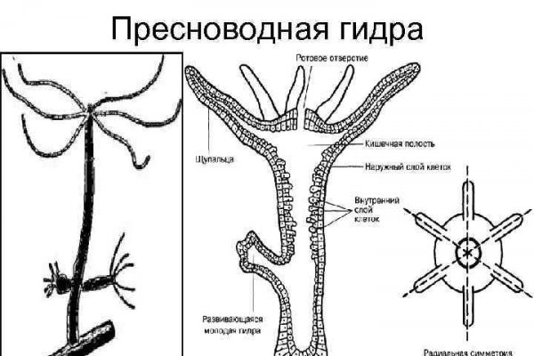 Кракен даркнет рабочая ссылка