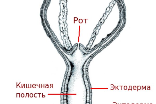 Рабочее зеркало на кракен